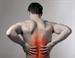 Low Back Pain and Sciatica Workshop