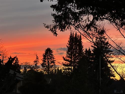 Gallery Image BAA06205-BC8B-4B3B-BC0E-6CBB1E68902D.jpeg