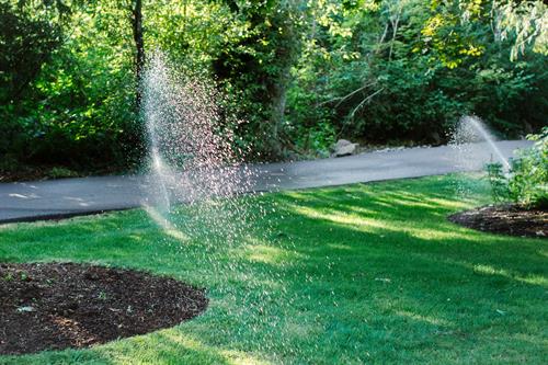 Irrigation Repair & Sprinklers