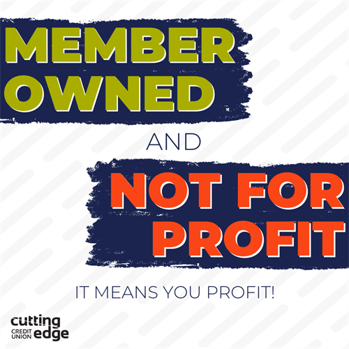 As a member-owned, not-for-profit credit union we strive to serve our Workplace Partner businesses with an individualized approach that benefits their employees. We offer a variety of product and service solutions to help support your staff’s financial needs and overall financial wellness.