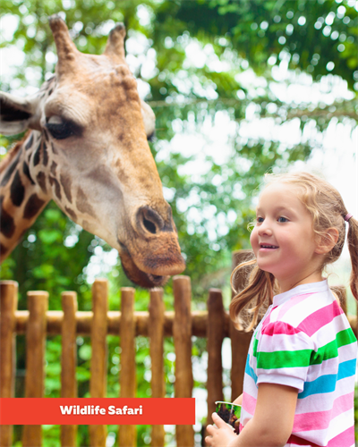 Gallery Image The_World_Forestry_Centter_-_7.png