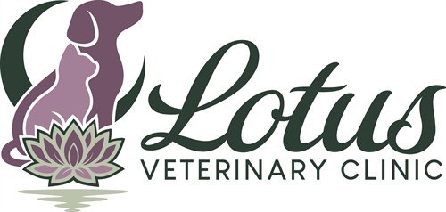 Gallery Image Lotus.Final.horizontal.color.jpg