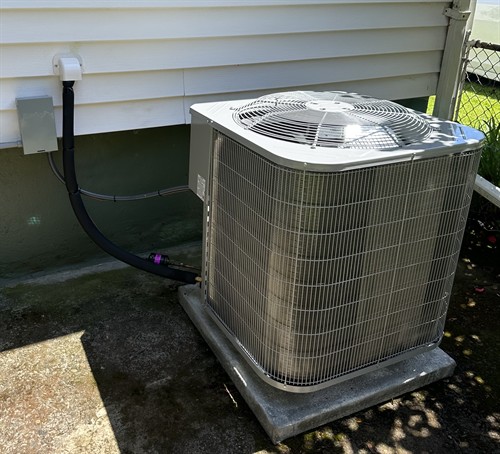 Gallery Image IMG_3744.jpg