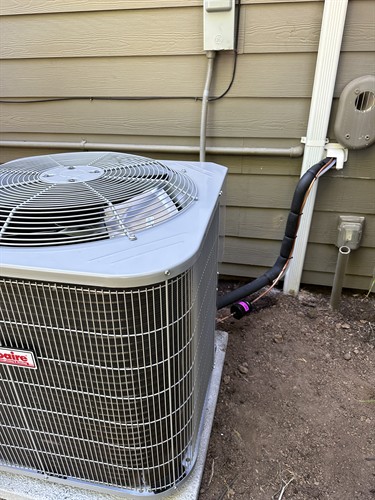 Gallery Image IMG_4553.jpg