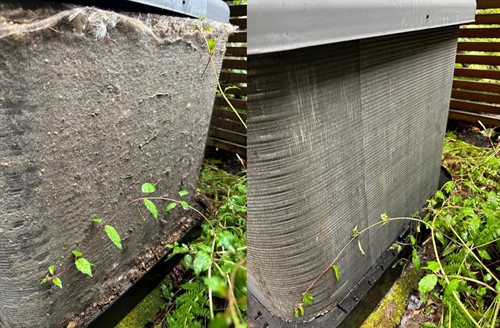 Gallery Image comparison.jpg