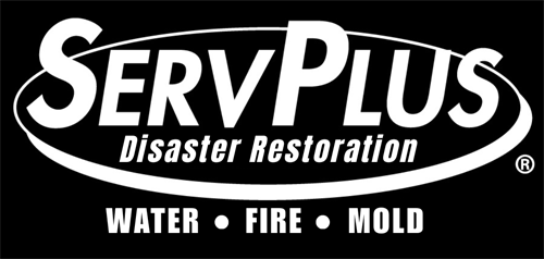 Gallery Image Disaster_Restoration_(PNG).png