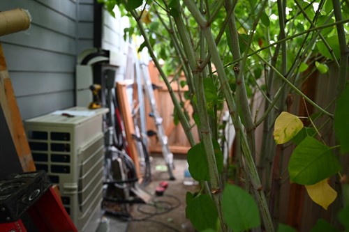 Ductless mini-split installation