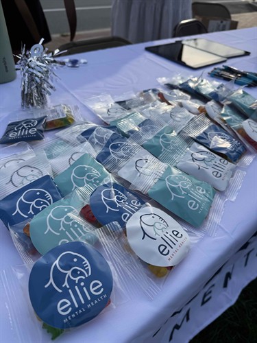 Ellie Mental Health Metro Boston Swag