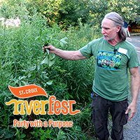 Foraging Walk at Bluebird Hill Homestead