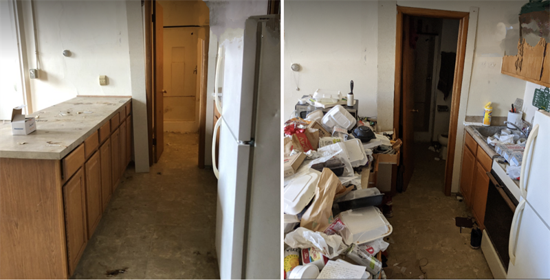 Before and After of a Kitchen Cleanup