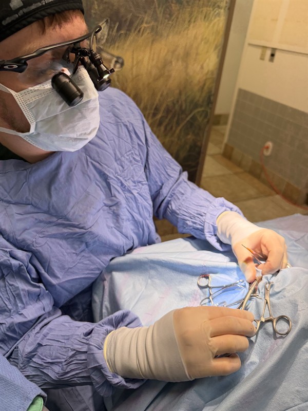 Dr. Keller performing a surgery