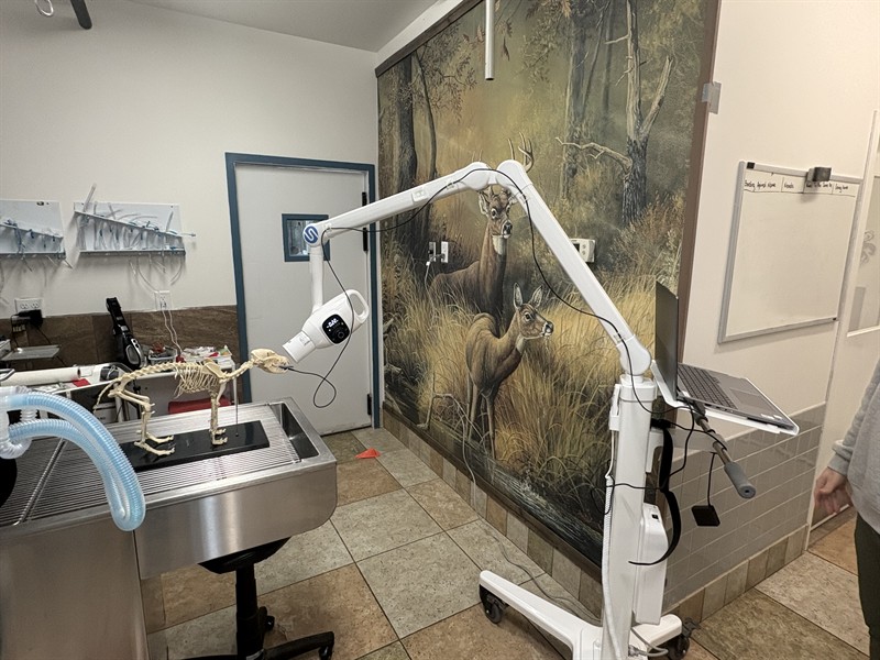 Dental X-Ray machine