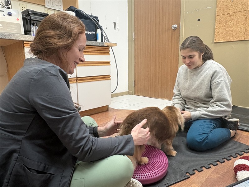 Dr. Butler and one of our staff members doing rehab exercises with a patient. 