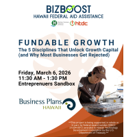 BizBoost: Fundable Growth The 5 Disciplines That Unlock Growth Capital (and Why Most Businesses Get Rejected)