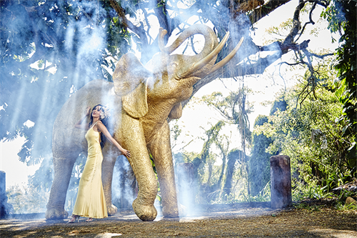 Elepani TuOham -The very lucky golden elephant