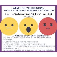 WEBINAR: What Do We Do Now? Advice on Doing Business in COVID-19