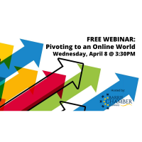 FREE WEBINAR: Pivoting to an Online World
