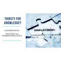 FREE WEBINAR: Employment Law Considerations & COVID-19