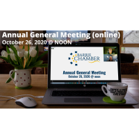 Annual General Meeting (online)