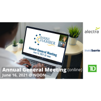 Annual General Meeting (online)