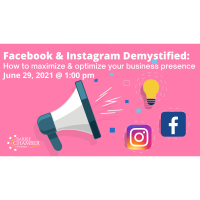 FREE WEBINAR: Facebook & Instagram Demystified: How to maximize and optimize your business presence