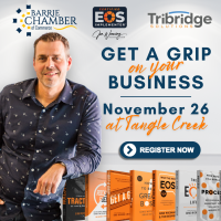Get A Grip On Your Business - The 6 Key Components of EOS