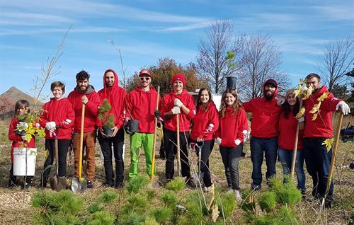 Corporate Team Building Tree Planting opportunities available