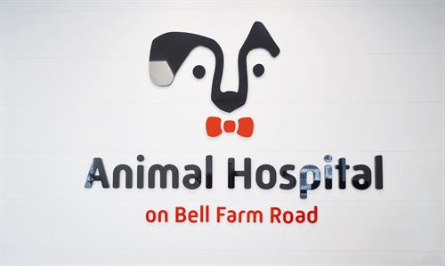 Animal Hospital on Bel Farm Road