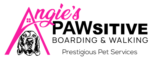 Gallery Image Angies-Logo-Original-Colour.png