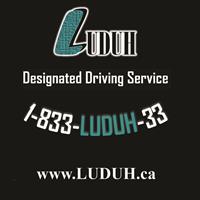 Luduh Designated Driver