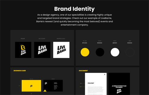 LiveBarrie brand identity example.