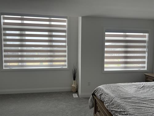Zebra Blinds