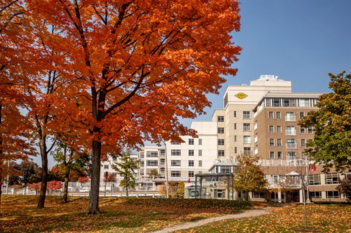 Located in the Historic Queen's Park neighbourhood, adjacent to Queen's Park and Barrie Tennis Club, and close to the downtown and waterfront