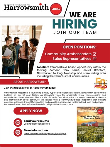 Gallery Image Harrowsmith_Local_Hiring_B-K_Rep_(1).jpg