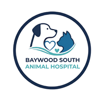 Baywood South Animal Hospital