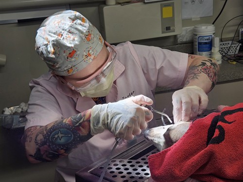 Gallery Image 20231026_105004.jpg