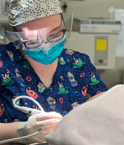 Gallery Image AK_Dental.png