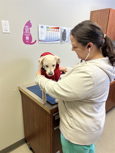 Gallery Image IMG_2624.jpg