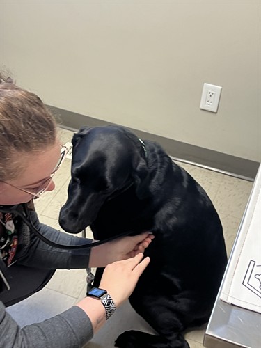 Gallery Image IMG_6421.jpeg