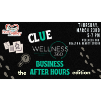 Business After Hours hosted by Wellness 360