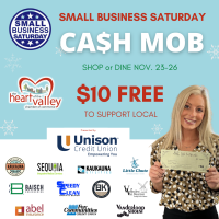 Small Business Saturday Cash Mob