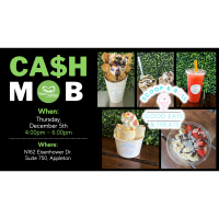 Cash Mob at Scoop and Roll Ice Cream