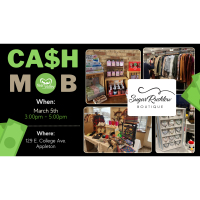 Cash Mob at Sugar Rushlow Boutique