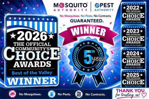 Voted Best of the Valley 5 Years in a Row!