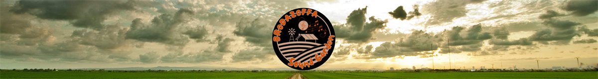 Brodazoffa Sound Garden LLC