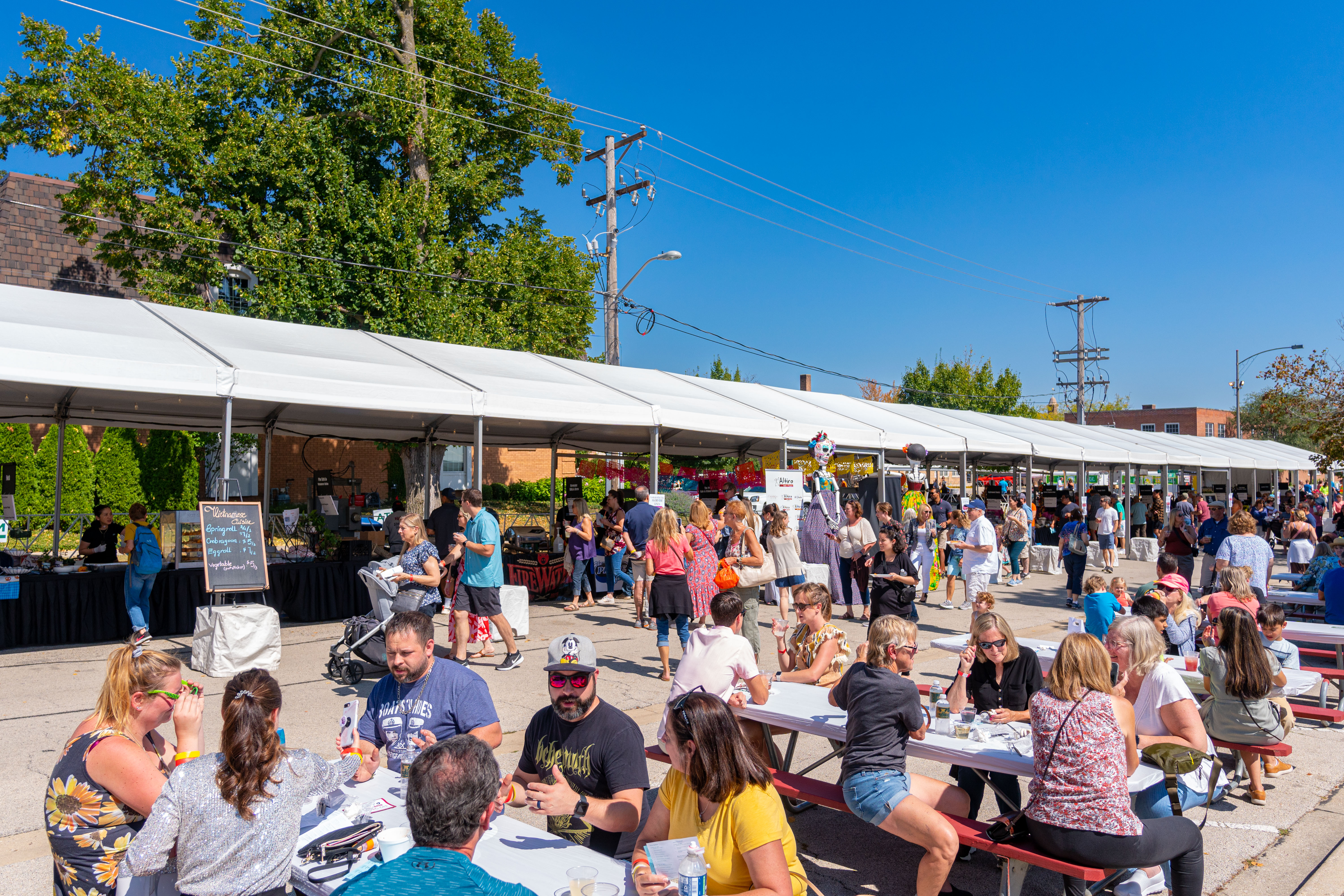 Image for Volunteer at Festival of the Vine