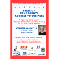 State of Kane County Address to Business - via Zoom