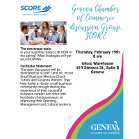 SCORE peer discussion group