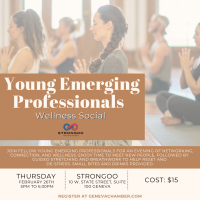 Young Emerging Professionals