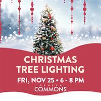 CHRISTMAS TREE LIGHTING & HOLIDAY CELEBRATION